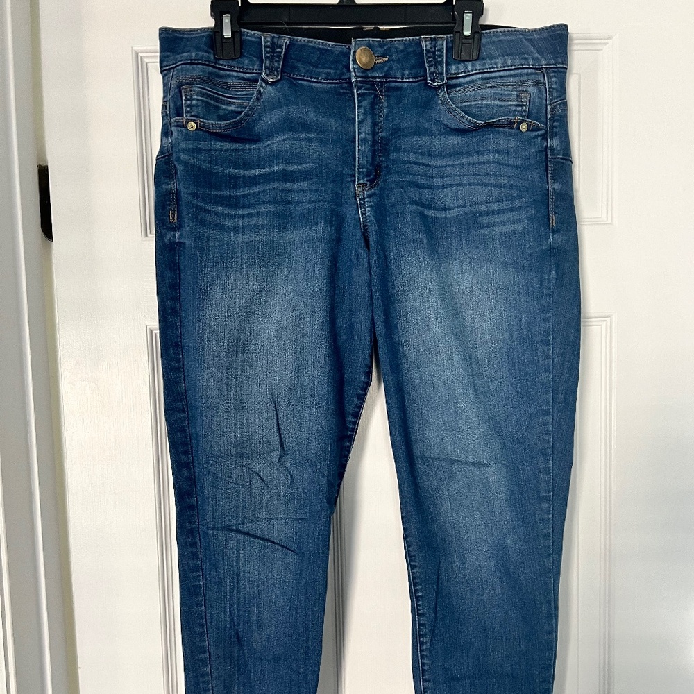 Democracy Parisa Skinny Jean